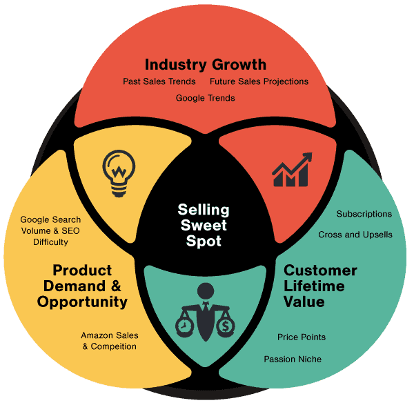 5 business level strategies