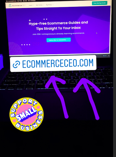 Ecommerce CEO 