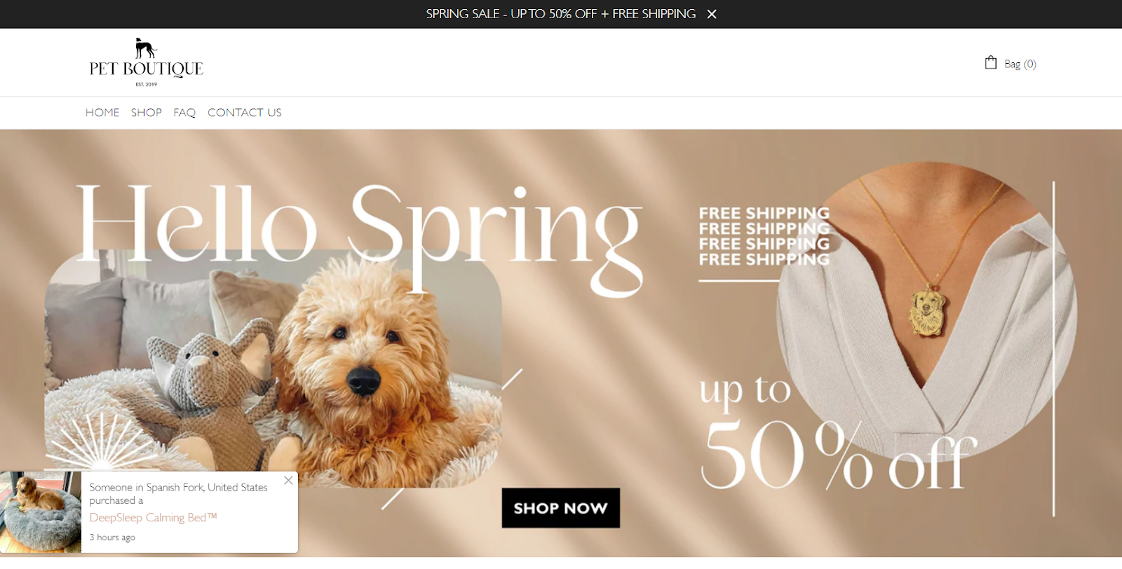 19 Popular Dropshipping Stores for Inspiration in 2022